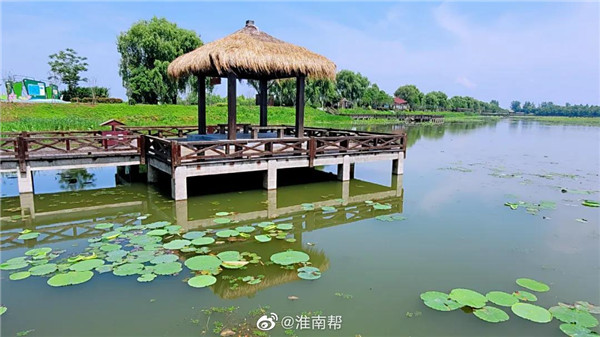 【圖說淮南】——初夏雨后的焦崗湖，暖風徐徐！