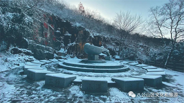 【圖說淮南】——雪來了，你期待嗎？