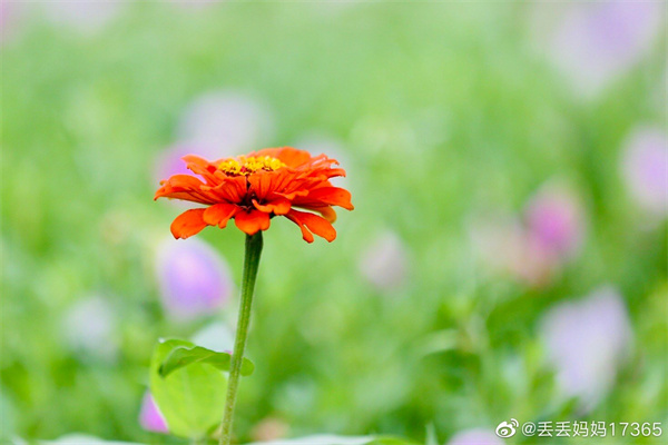 【圖說淮南】——今日芒種，愿你“芒”有所獲，“種”有所得