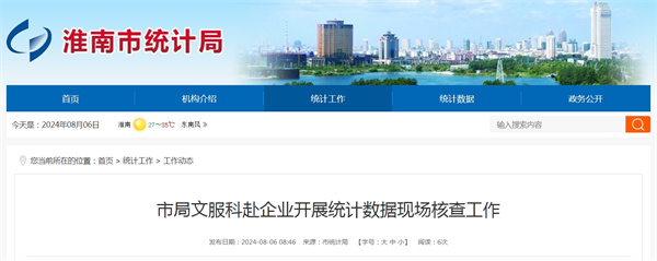 淮南市統計局文服科赴企業開展統計數據現場核查工作