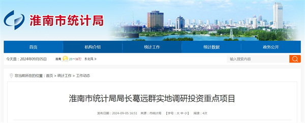 淮南市統計局局長葛遠群實地調研投資重點項目.jpg