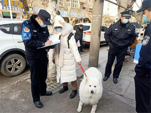 淮南鳳臺：公安城管聯合行動 整治不文明養犬行為
