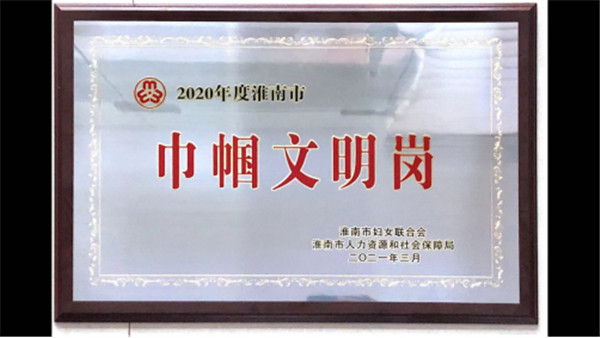 第二稅務(wù)分局榮獲2020年度淮南市“巾幗文明崗”稱(chēng)號(hào)