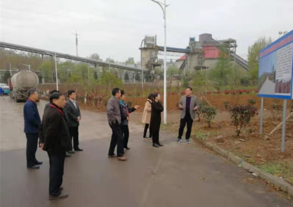 淮南八公山區人大常委會視察柏家山二期營造林項目